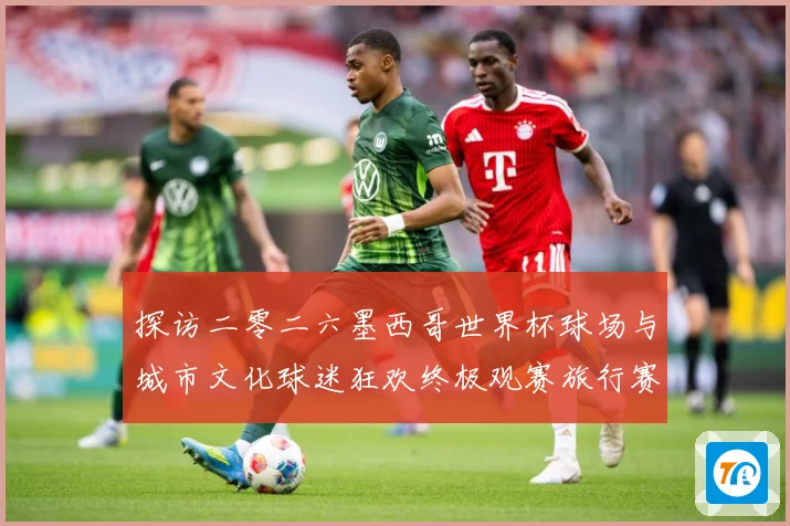 探访二零二六墨西哥世界杯球场与城市文化球迷狂欢终极观赛旅行赛事前瞻-深度解析