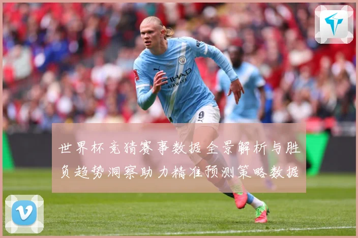世界杯竞猜赛事数据全景解析与胜负趋势洞察助力精准预测策略数据研判-深度解析