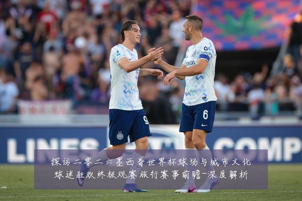 探访二零二六墨西哥世界杯球场与城市文化球迷狂欢终极观赛旅行赛事前瞻-深度解析